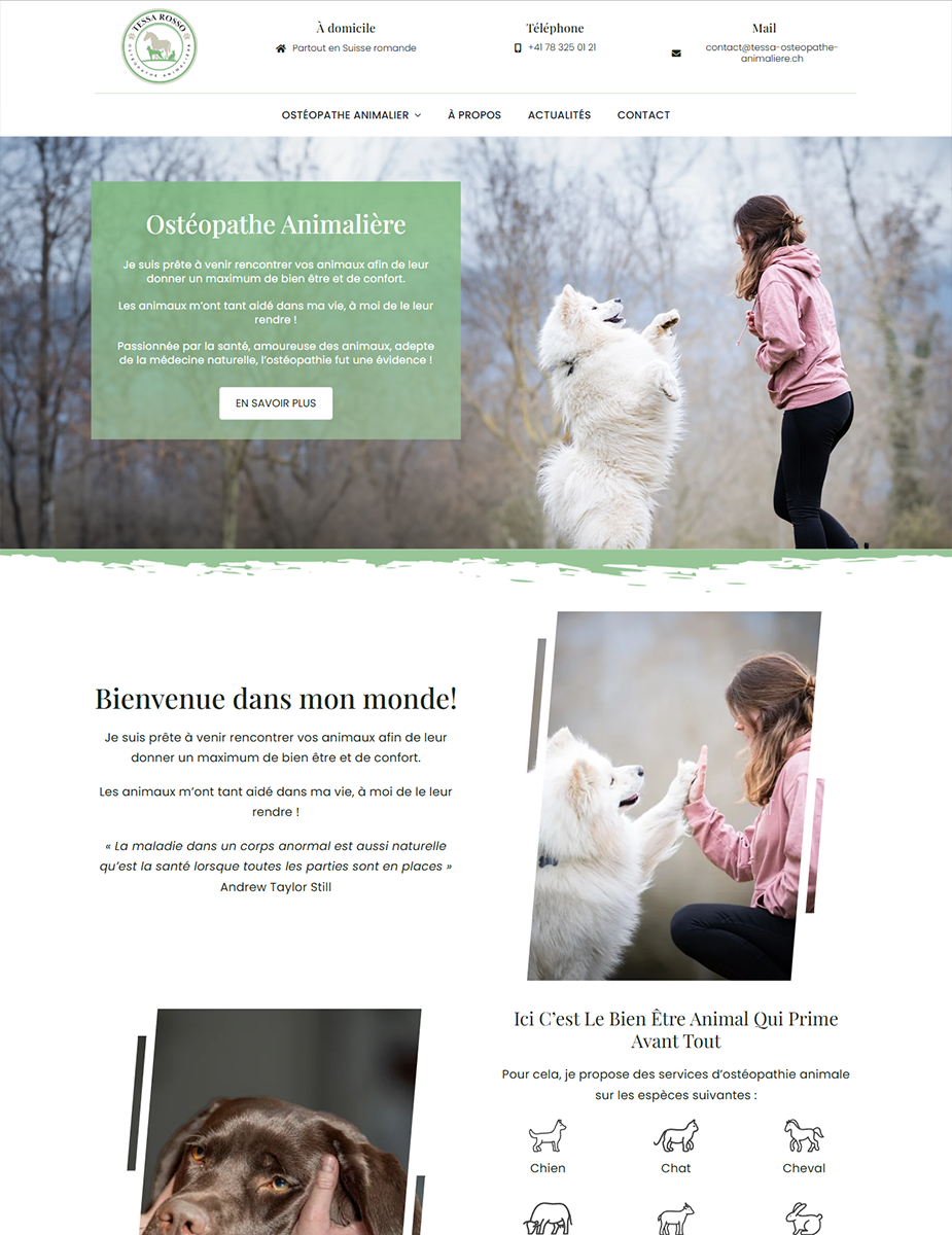 Creare site osteopatie veterinară