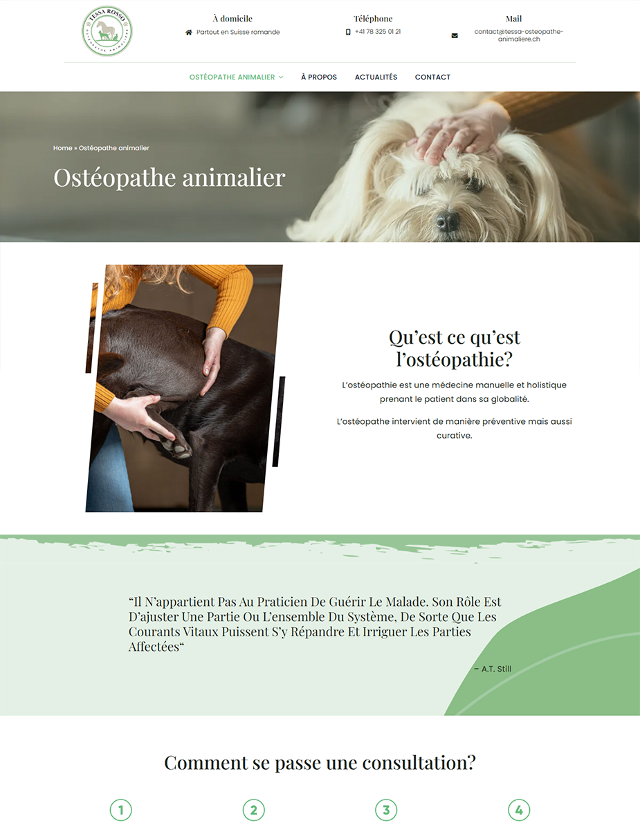 Creare site osteopatie veterinară