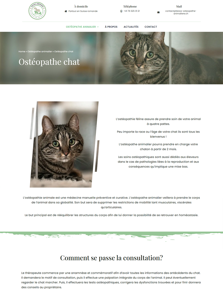Creare site osteopatie veterinară